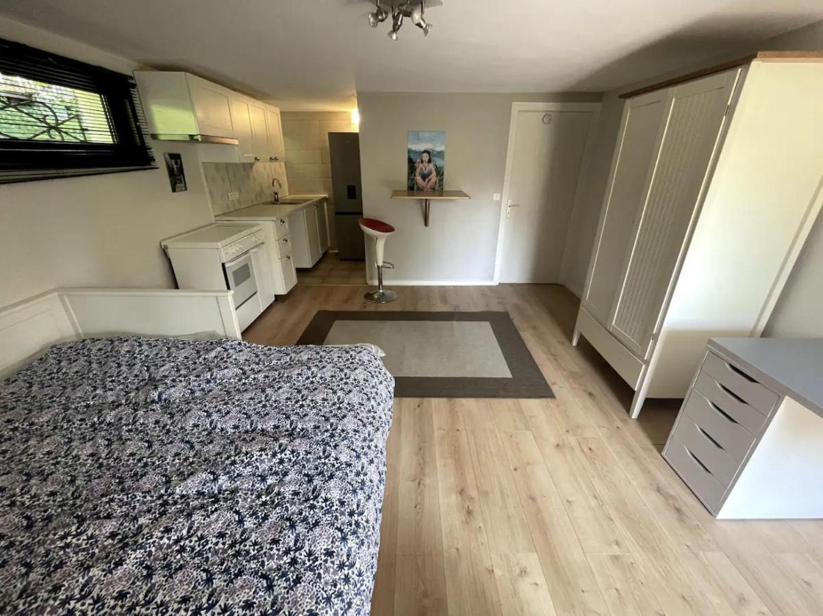 Quiet Studio In A House In Sevrier Annecy Lake Very Close To The Lake Exterior foto